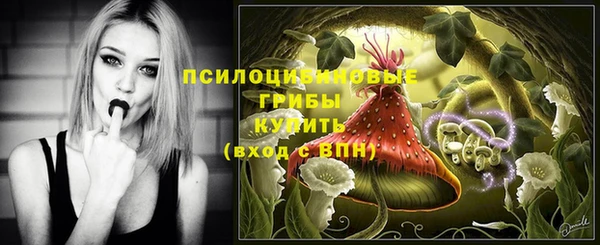 бошки Киреевск