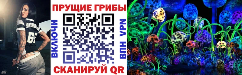 Псилоцибиновые грибы прущие грибы  Купить закладки  Кизилюрт 